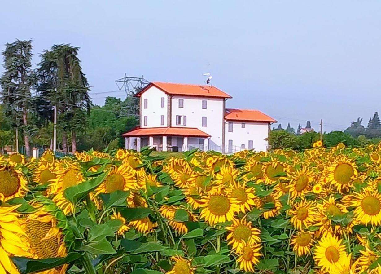La Collinetta B&B Crespellano ภายนอก รูปภาพ