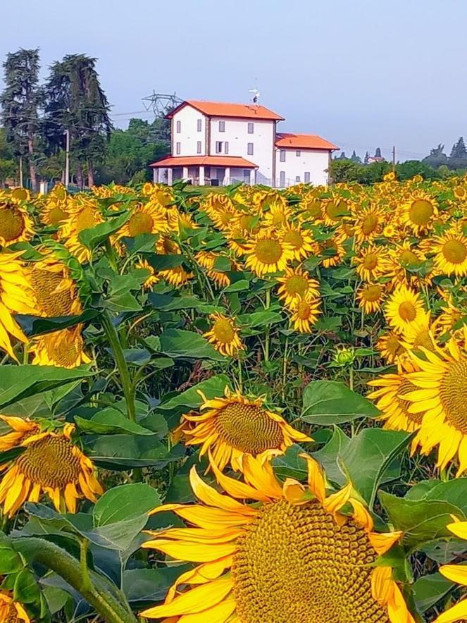 La Collinetta B&B Crespellano ภายนอก รูปภาพ