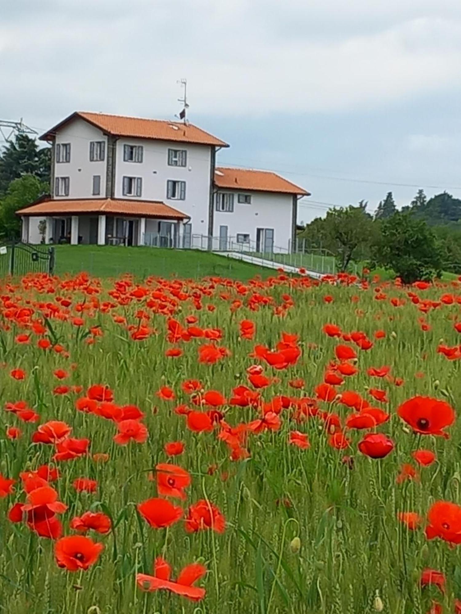 La Collinetta B&B Crespellano ภายนอก รูปภาพ